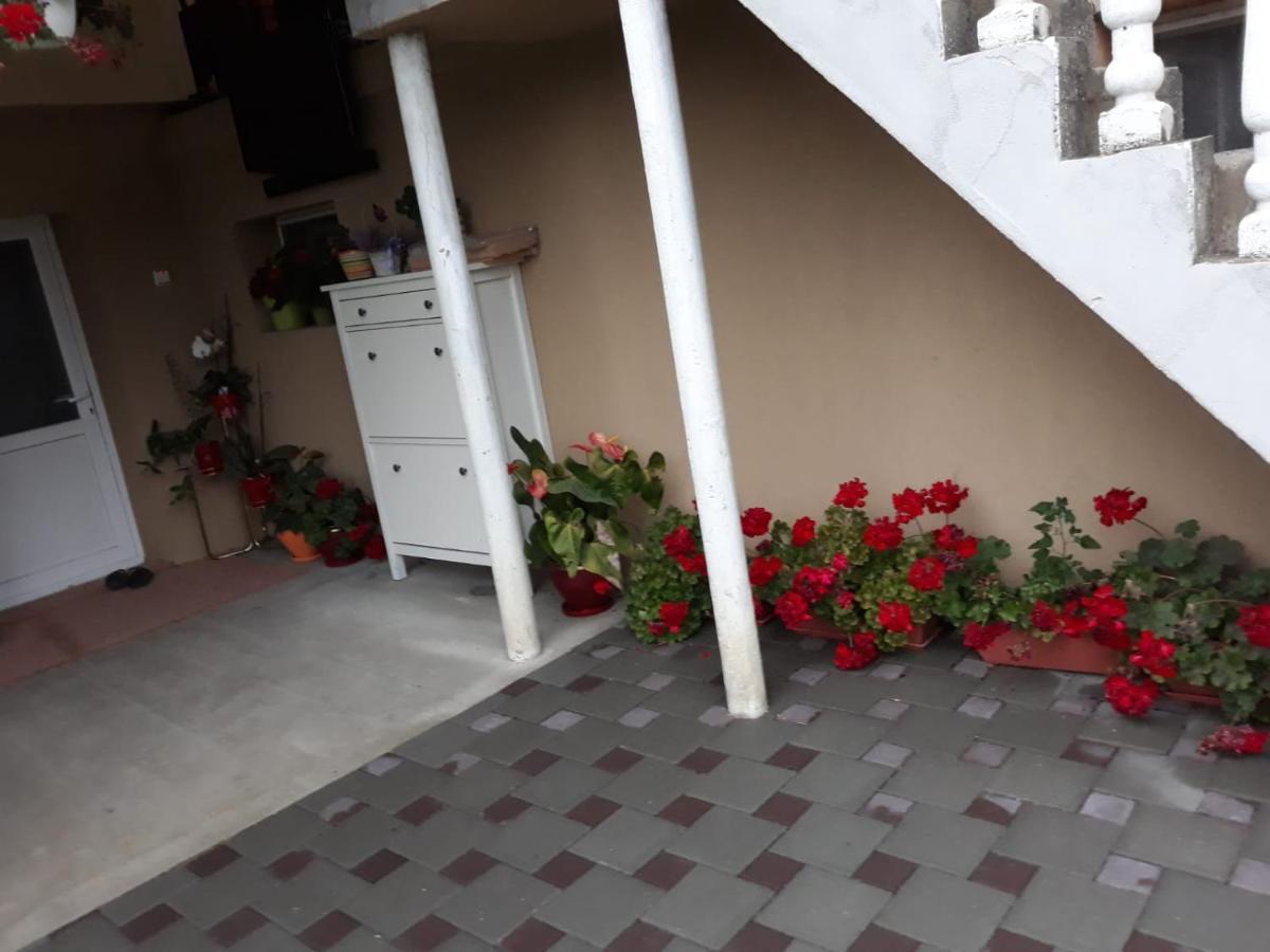 Casa Sannicolau Bed and Breakfast Sînnicolau Mare Εξωτερικό φωτογραφία