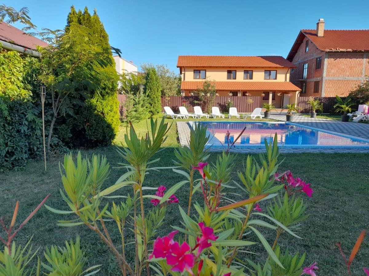 Casa Sannicolau Bed and Breakfast Sînnicolau Mare Εξωτερικό φωτογραφία
